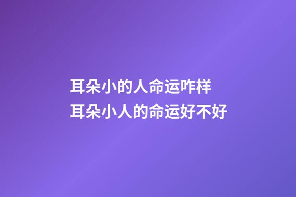 耳朵小的人命运咋样 耳朵小人的命运好不好
